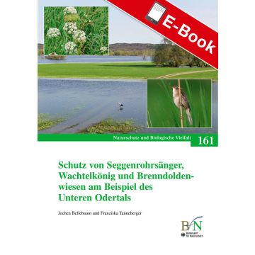 PDF: NaBiV Heft 161: Schutz von Seggenrohrsänger, Wachtelkönig und Brenndoldenwiesen am Beispiel des Unteren Odertals